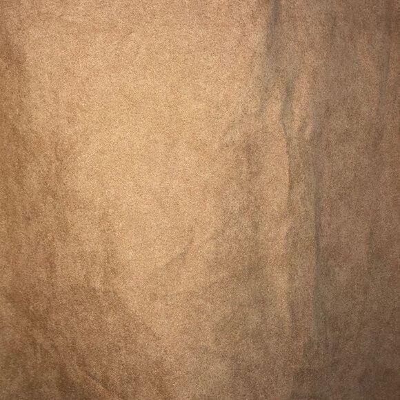 NWT Sleeveless Tan Suede Dress With Lace Overlay & Laser-Cut Hem - Picture 4 of 8